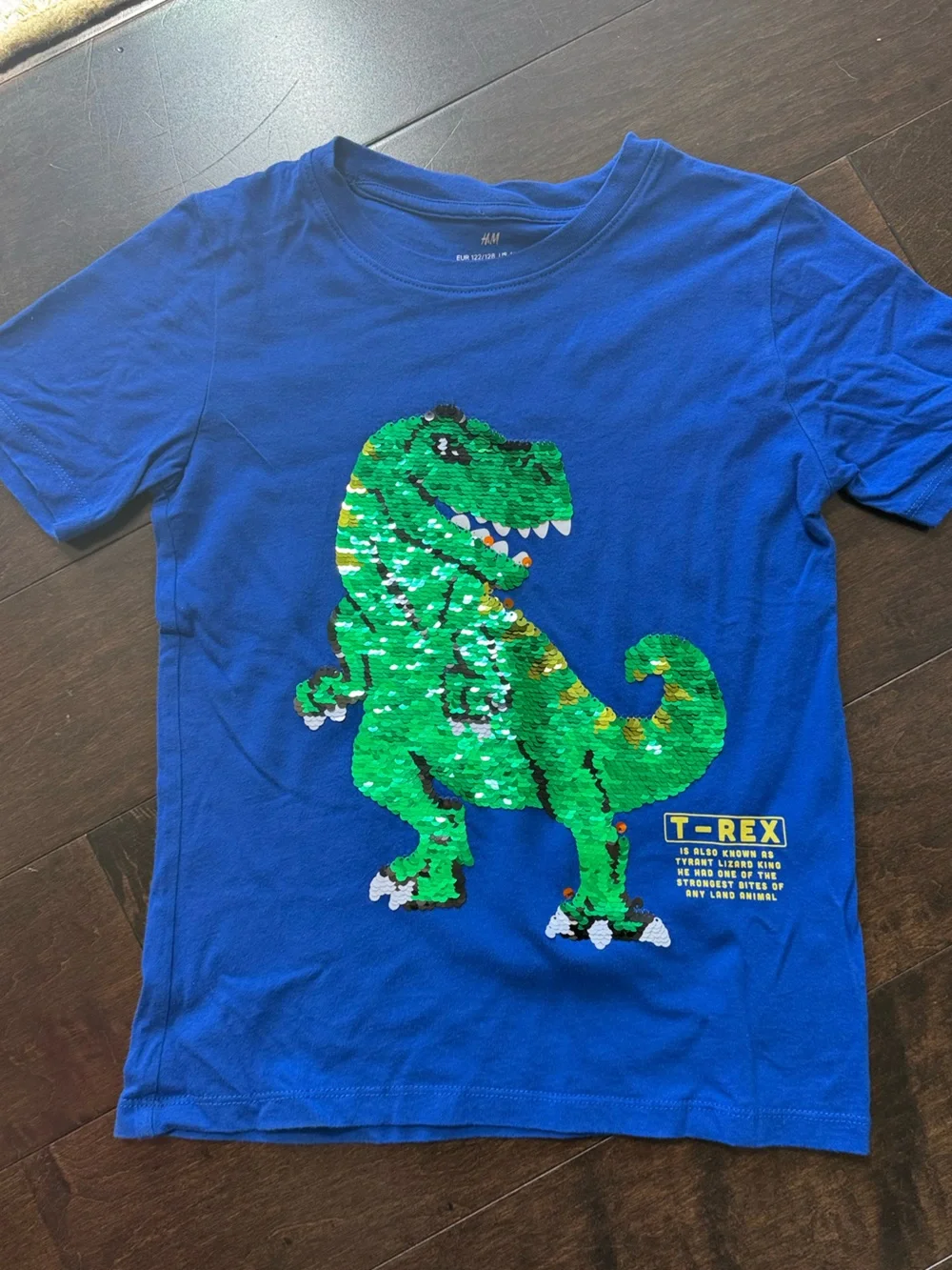 H&M Blue Kids Pajama Top with Green Sequin Dinosaur